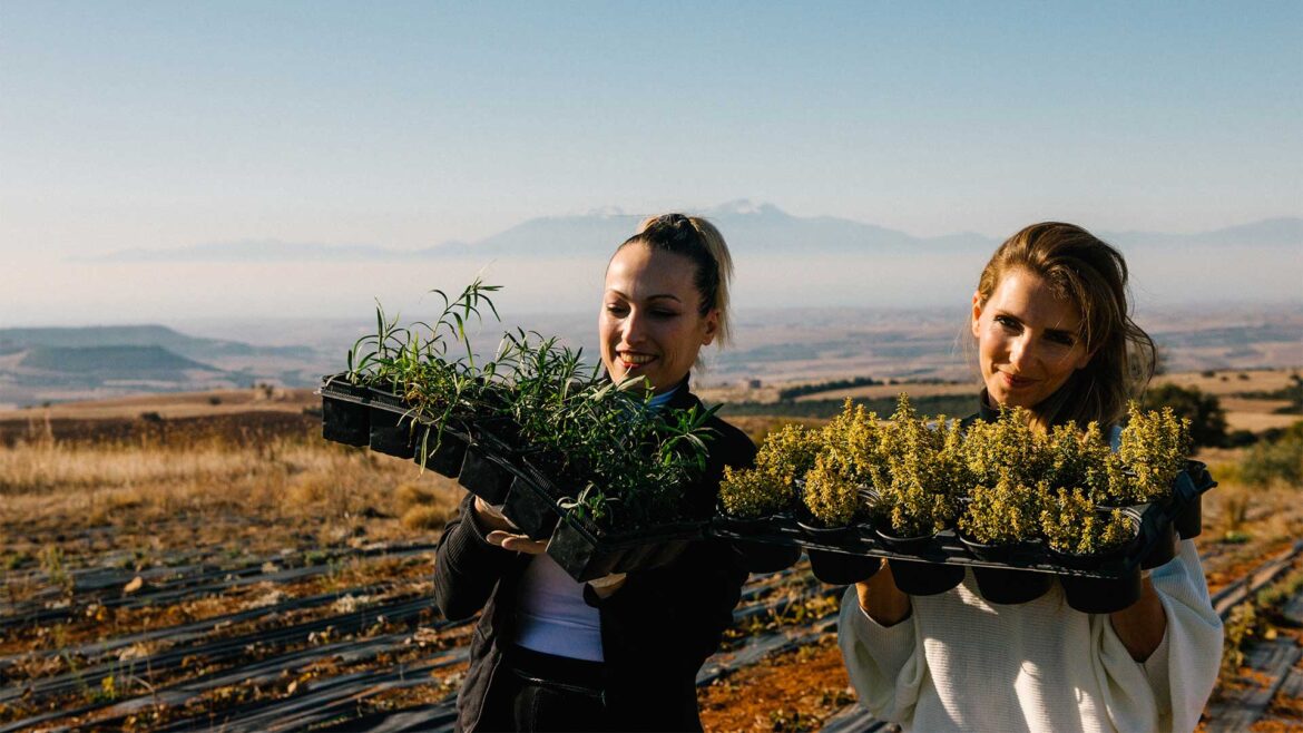 Inoni Greek Herbs: Δυο κορίτσια της πόλης ξέρουν από μυρωδικά