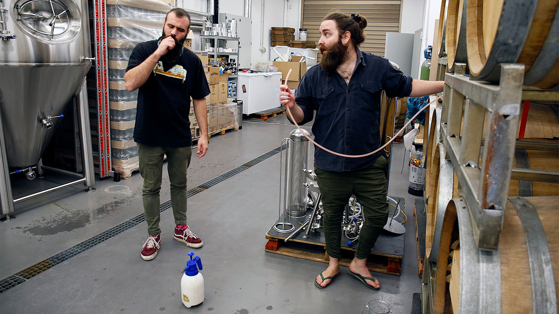 Στη Mykonos Brewery Company φτιάχνουν μπίρα με φραγκόσυκο