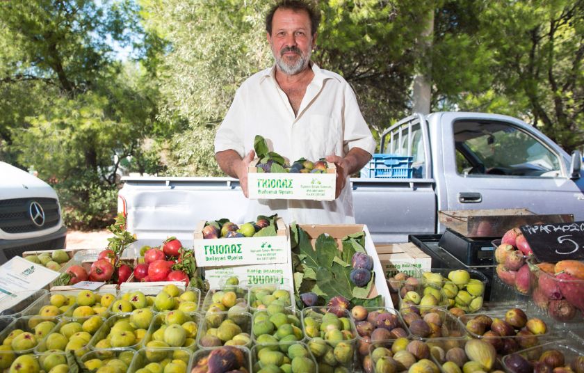 Αλέξανδρος Γκιόλας:Φρούτα φθινοπωρινά