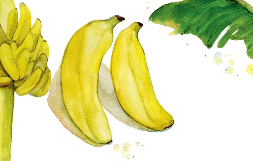 Μπανάνες Κρήτης