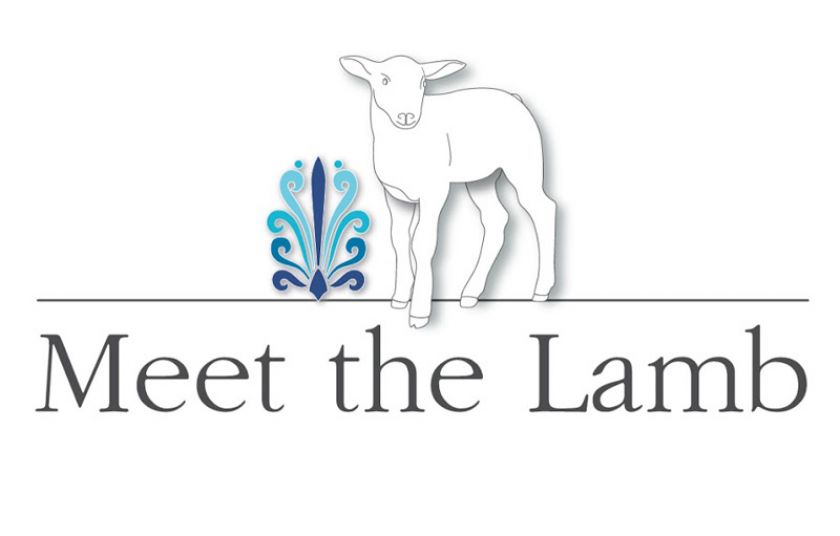 Meet the lamb