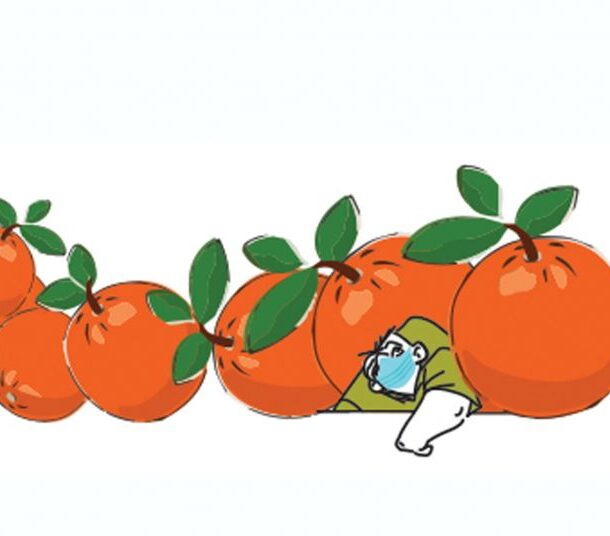 Τα πορτοκάλια της καραντίνας
