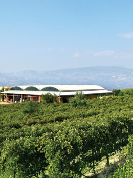 Gaia wines: Οινοτουρισμός στη Σαντορίνη και τη Νεμέα