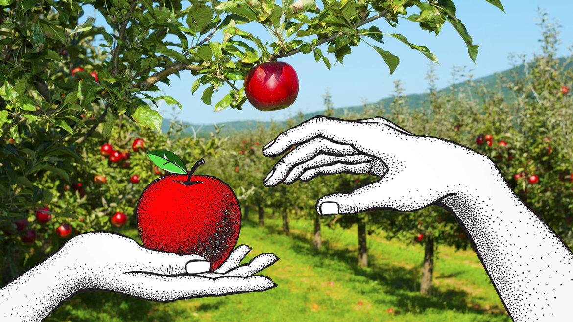 Η ιστορία του μήλου στον κόσμο