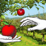Η ιστορία του μήλου στον κόσμο