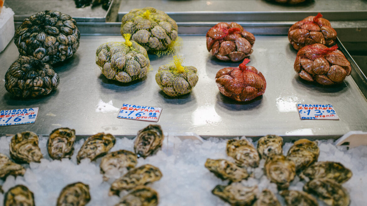 Πώς διατηρούμε τα θαλασσινά μέχρι το μαγείρεμα της Καθαράς Δευτέρας