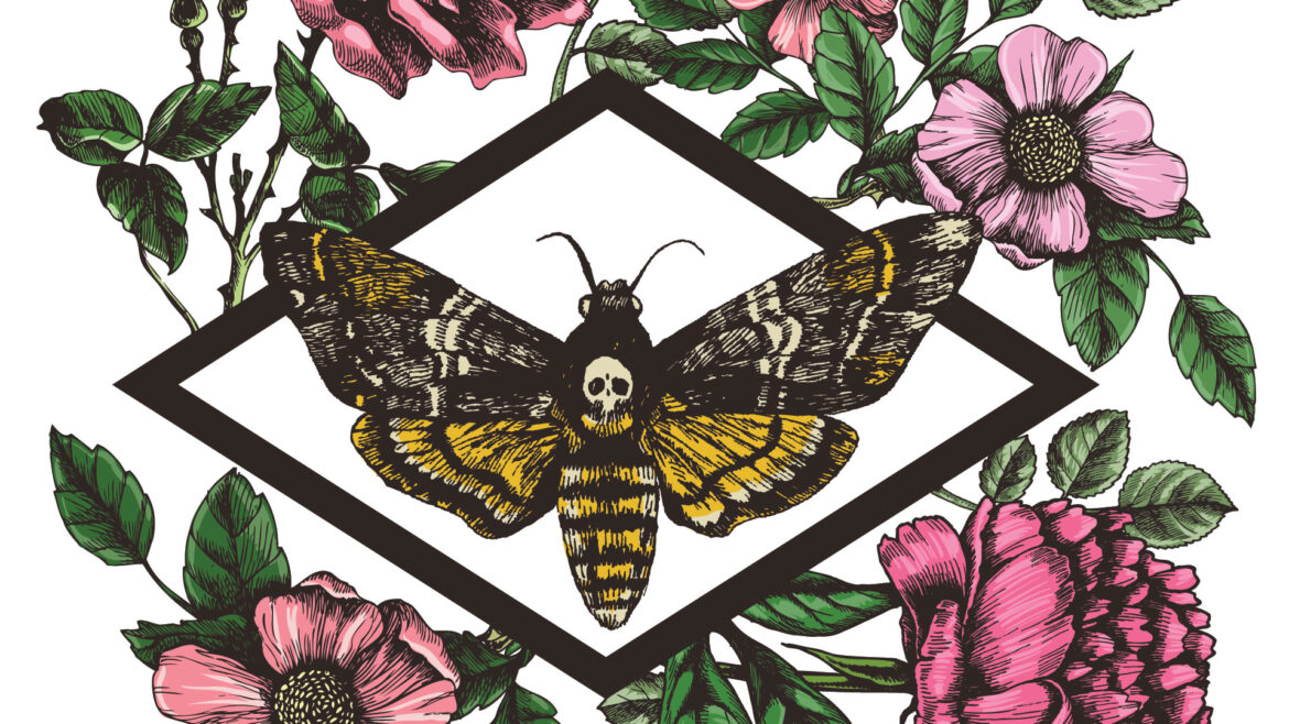 Στην κυψέλη: Πώς η λαιμαργία της αχερόντιας πεταλούδας την οδηγεί στον θάνατο