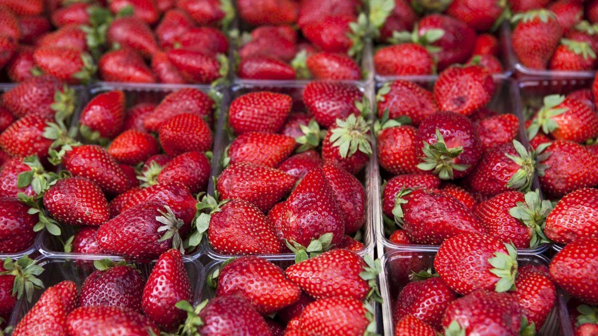 Φράουλα: Μύθοι και αλήθειες για το αγαπημένο μας φρούτο, τι προσέχουμε κατά την αγορά