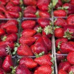 Φράουλα: Μύθοι και αλήθειες για το αγαπημένο μας φρούτο, τι προσέχουμε κατά την αγορά